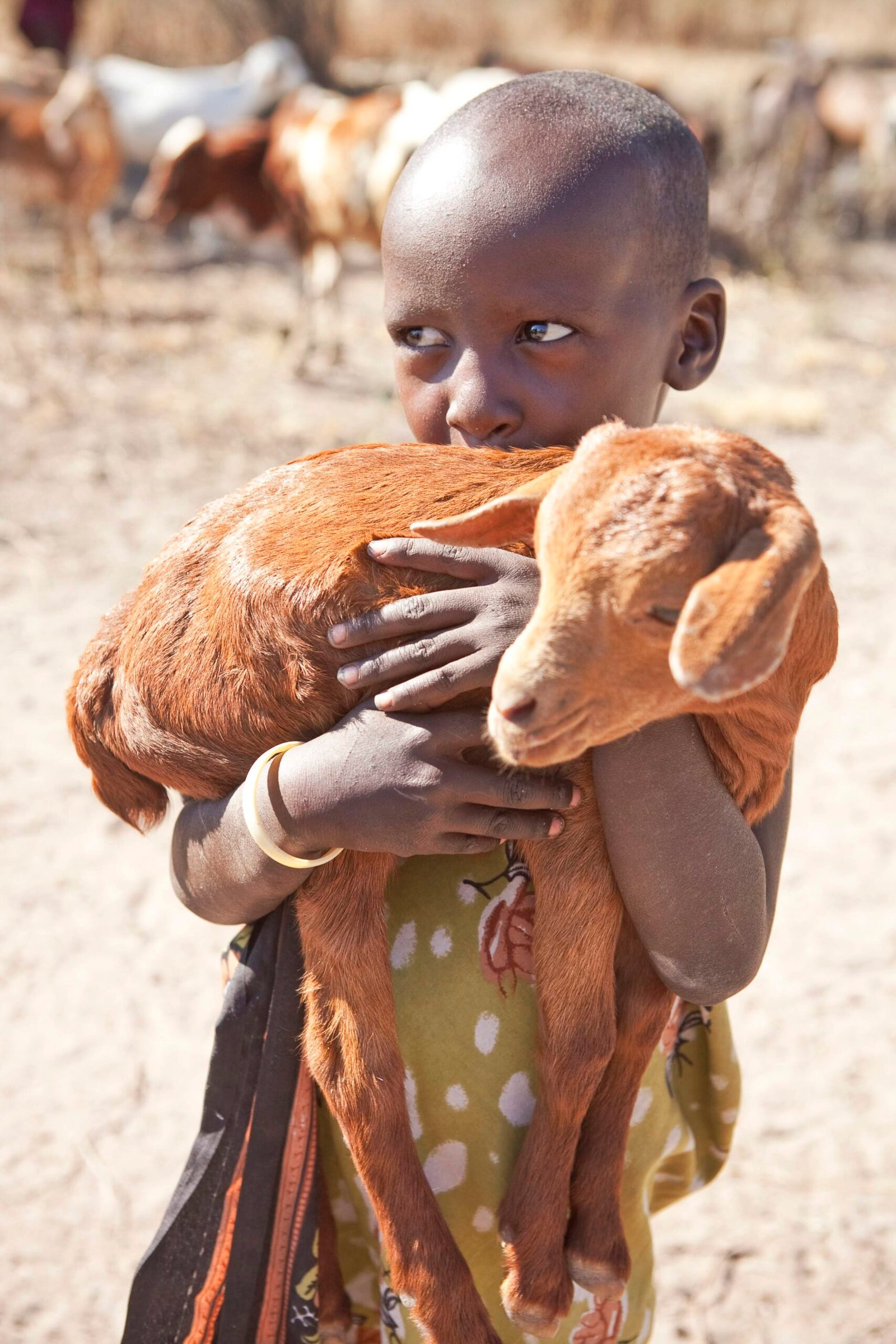 A child holding a goat in Tanzania